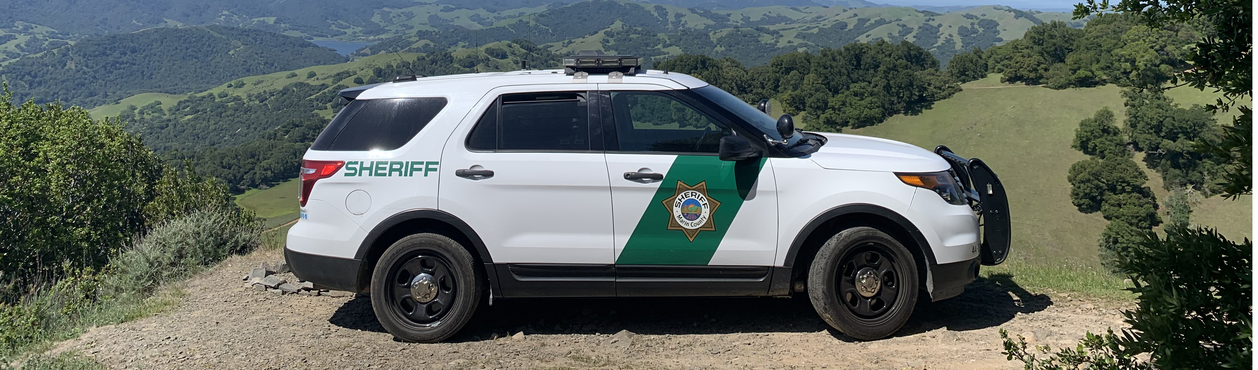 IMG_1010-Crop.jpg#asset:5883